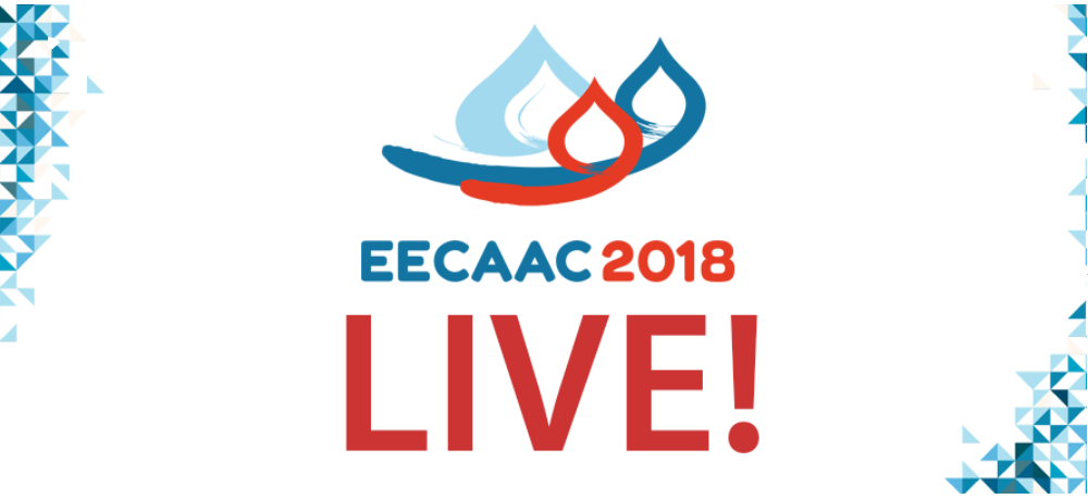 Preview image for EECAAC 2018 – VI Eastern Europe and Central Asia AIDS Conference