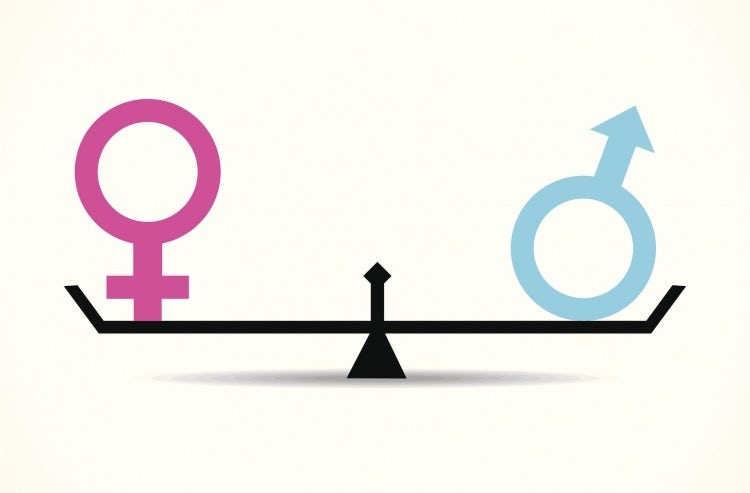 Preview image for Technical Brief: Gender Equity