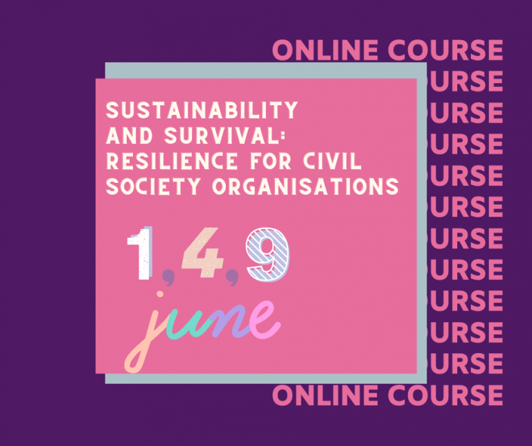 Preview image for EHRA-members Online course “Sustainability and survival: reresilience for civil society organisations”