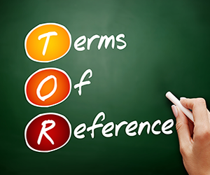 Preview image for Extended: Terms of Reference for the consultant to conduct the EECA Regional Civil Society Survey on the work of the EECA Regional Platform