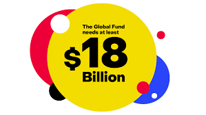 Preview image for Executive Summary of the Global Fund’s Seventh Replenishment Investment Case