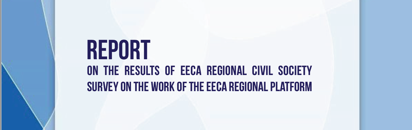 English survey report cover from the EECA Regional Learning Hub
